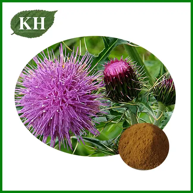Silymarin Powder Feed Grade